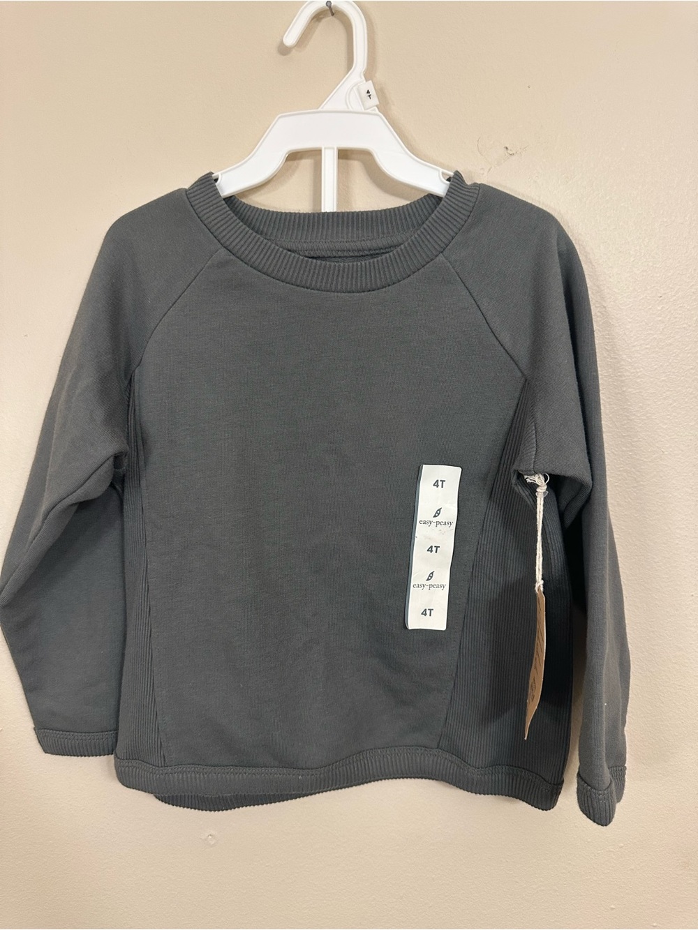Kids Gray Crewneck Sweatshirt - 4T